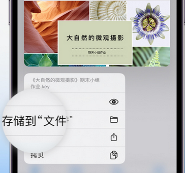 埇桥apple维修中心分享iPhone文件应用中存储和找到下载文件