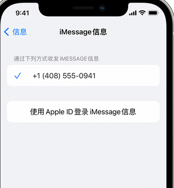 埇桥apple维修iPhone上无法正常发送iMessage信息