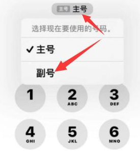 埇桥苹果14维修店分享iPhone 14 Pro Max使用副卡打电话的方法 