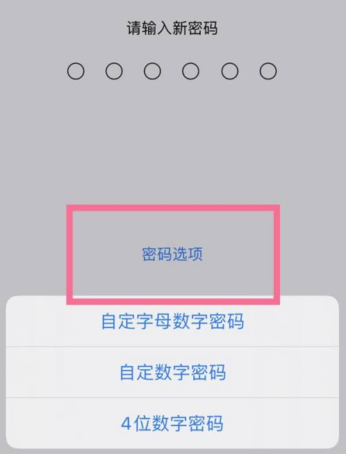 埇桥苹果14维修分享iPhone 14plus设置密码的方法 