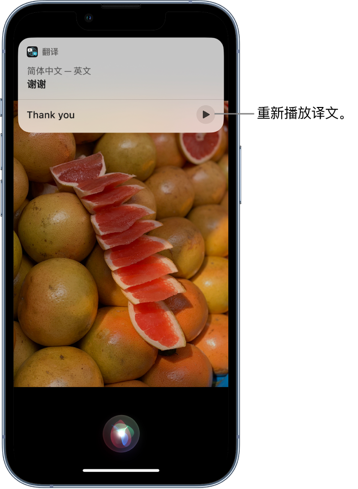 埇桥苹果14维修分享 iPhone 14 机型中使用 Siri：了解 Siri 能帮你做什么 