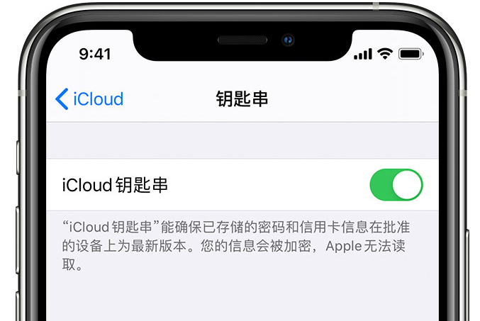 埇桥苹果手机维修分享在 iPhone 上开启 iCloud 钥匙串之后会储存哪些信息 