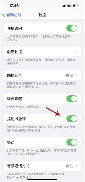 埇桥苹果手机维修分享iPhone手机如何设置摇一摇删除文字 