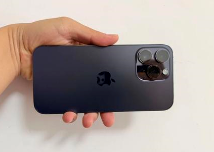 埇桥苹果维修点分享iPhone 14 Pro Max黑屏少见故障盘点 